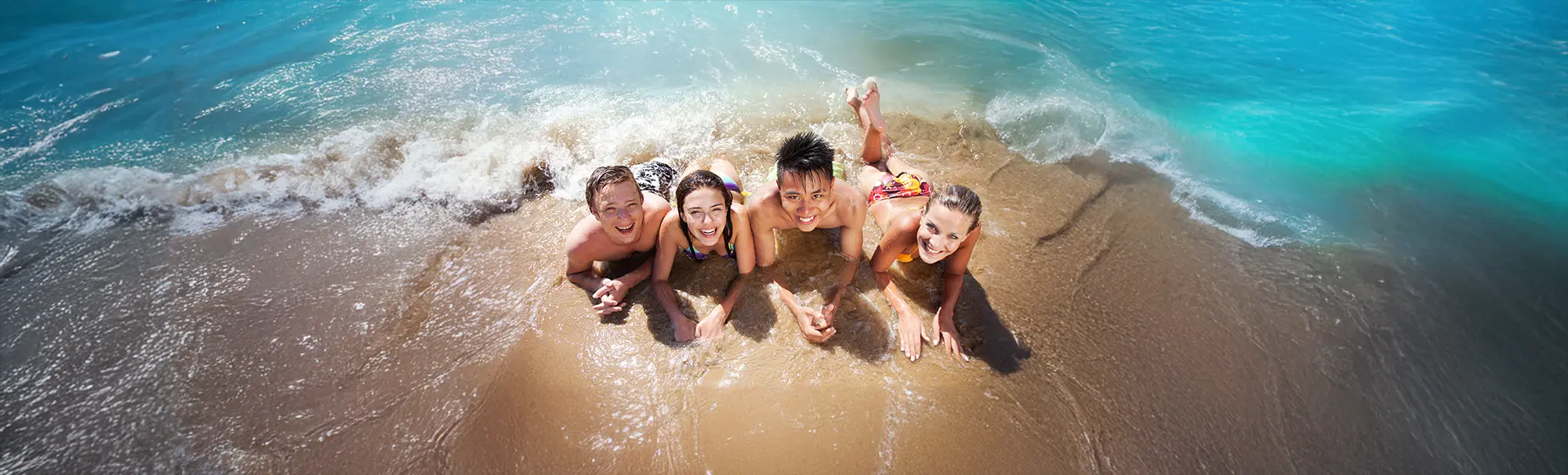 immagine del processo di digestione interna dell’apparato digerente